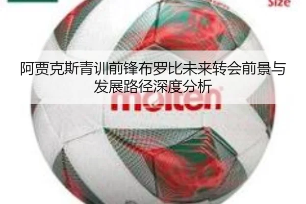 阿贾克斯青训前锋布罗比未来转会前景与发展路径深度分析