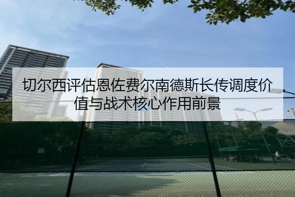 切尔西评估恩佐费尔南德斯长传调度价值与战术核心作用前景